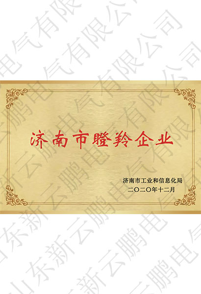 濟南市瞪羚企業(yè)